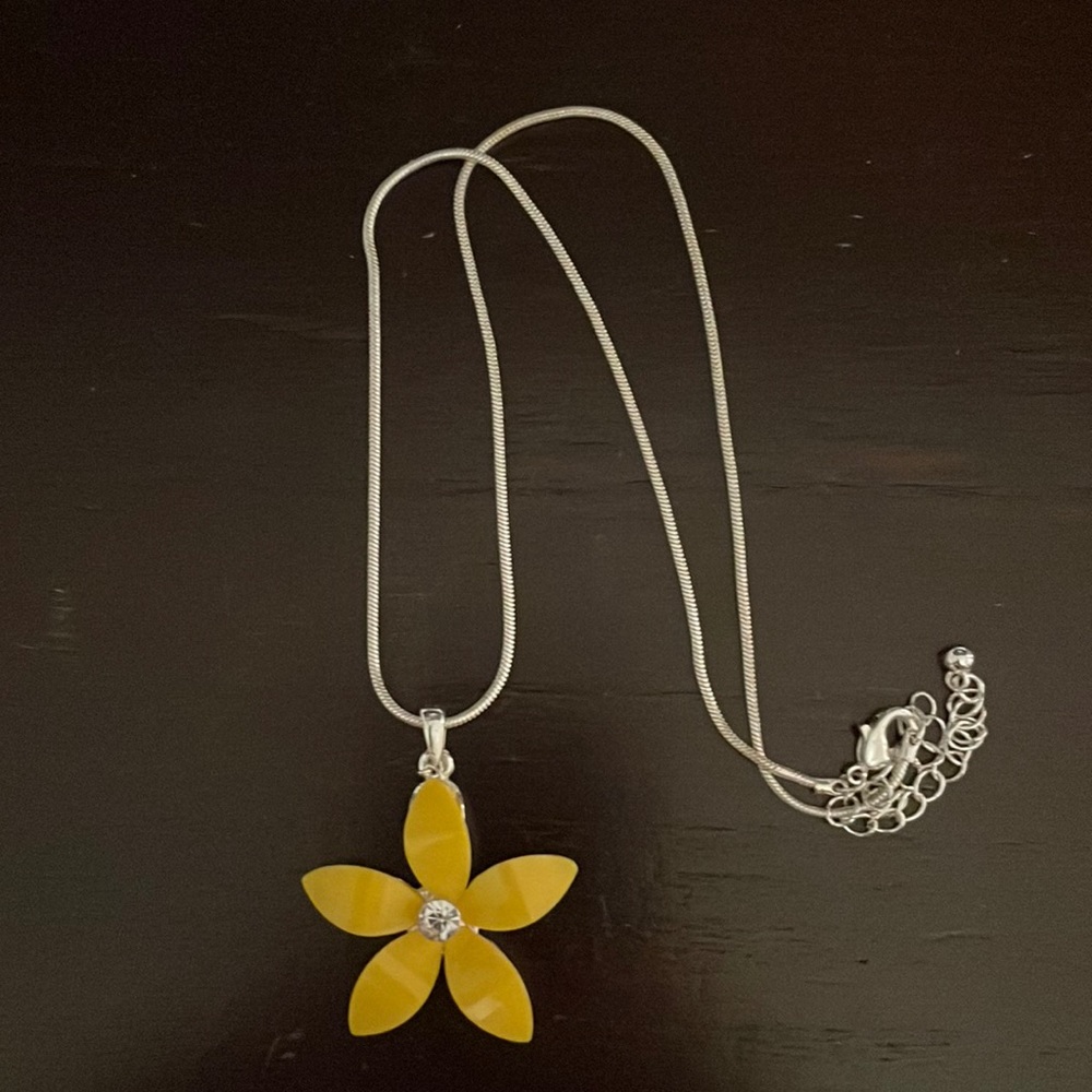 Fashion necklace.